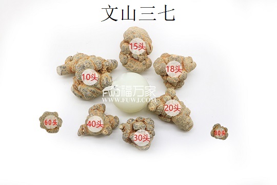 三七頭數(shù)與質(zhì)量關系