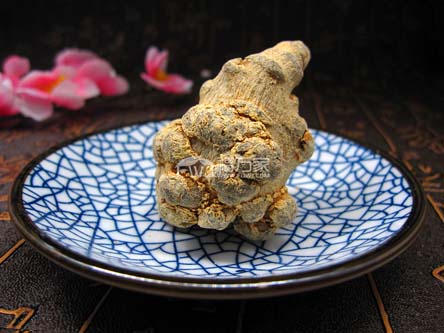 好三七的特點(diǎn)